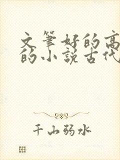 文笔好的高质量的小说古代言情封面