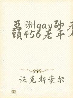 亚洲gay帅老头456老年人