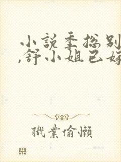 小说季总别虐了,舒小姐已嫁人阅读封面