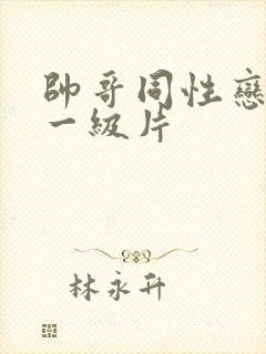 帅哥同性恋黄色一级片封面