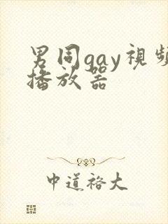 男同gay视频播放器