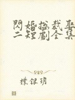 闪婚总裁娶一送二短剧全集免费观看封面