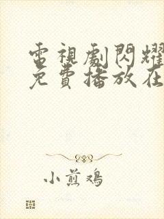 电视剧闪耀的她免费播放在线观看