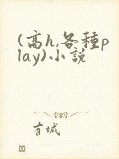 (高h,各种play)小说