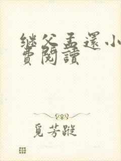 继父孟还小说免费阅读封面