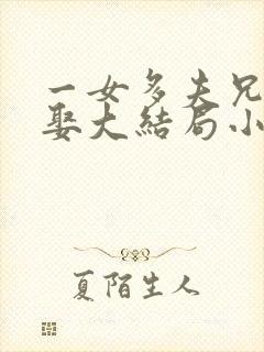 一女多夫兄弟共娶大结局小说