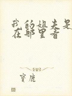 我的姐夫是太子在那里看