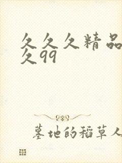 久久久精品久久久99