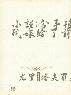 小说:分手后,我嫁给了前男友的小叔封面