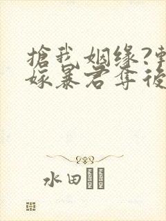 抢我姻缘?转身嫁暴君夺后位免费看