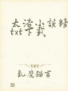 太浩小说精校版txt下载封面