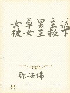 女尊男主流过产被女主救下的小说