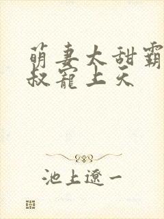 萌妻太甜霸道大叔宠上天