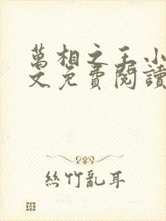 万相之王小说全文免费阅读全文封面