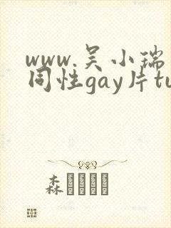 www.吴小瑞同性gay片tube