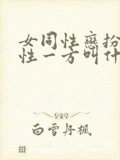 女同性恋扮演男性一方叫什么