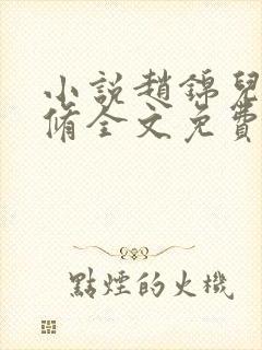 小说赵锦儿秦慕修全文免费阅读免费