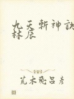 九天斩神诀免费林辰