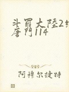斗罗大陆2绝世唐门114封面