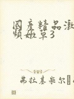 国产精品激情视频嫩草3