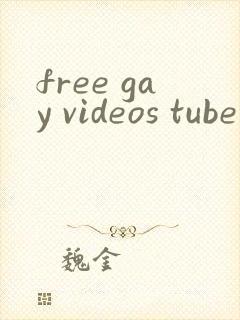 free gay videos tube封面