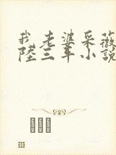 我老婆采薇养父陆三平小说在人间