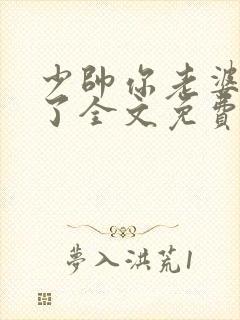 少帅你老婆又跑了全文免费阅读你