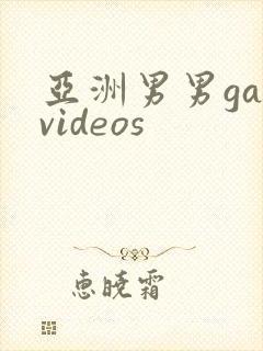 亚洲男男gayvideos