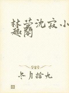 林萤沈寂小说笔趣阁