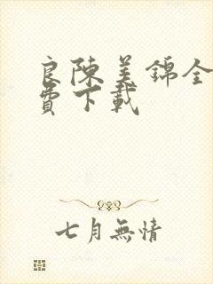 良陈美锦全文免费下载封面