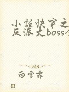 小说快穿之杠上反派大boss全文免费阅读