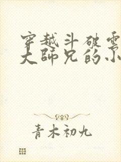 穿越斗破云岚宗大师兄的小说