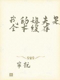 我的姐夫是太子全本缓存封面