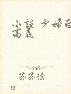 小说 少妇白洁高义封面