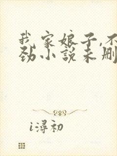 我家娘子,不对劲小说未删版全文