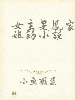 女主是凤家七小姐的小说