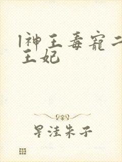 l神王毒宠二嫁王妃