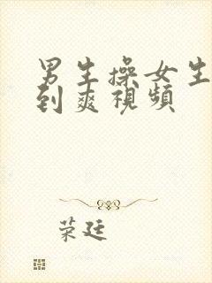 男生操女生逼操到爽视频