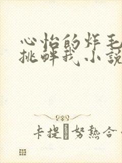 心怡的炸毛校霸挑衅我小说在线阅读封面