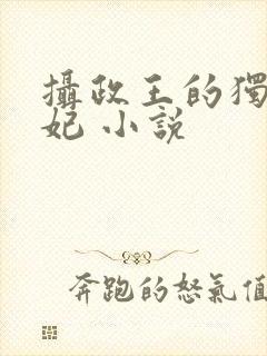 摄政王的独宠医妃 小说