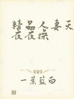 精品人妻天天操夜夜操
