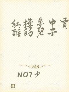 红楼梦中贾蓉是谁的儿子封面