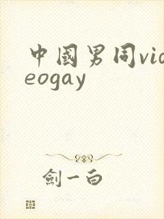 中国男同videogay