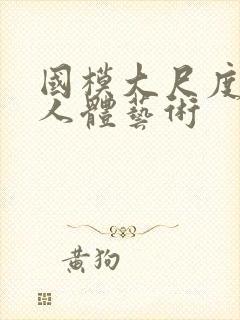 国模大尺度私拍人体艺术