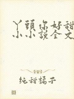 丫头你好甜慕小小小说全文免费阅读