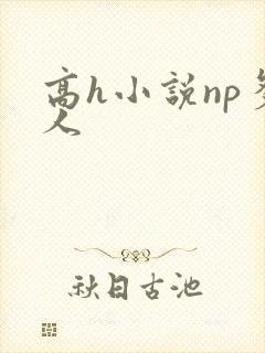高h小说np多人