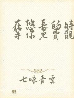 在悠长的时光里等你免费观看完整版高清封面