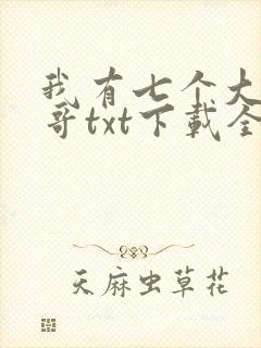 我有七个大佬哥哥txt下载全文免封面