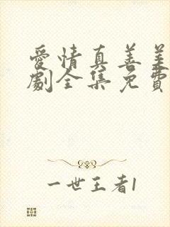 爱情真善美电视剧全集免费观看封面