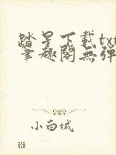 踏星下载txt笔趣阁无弹窗封面